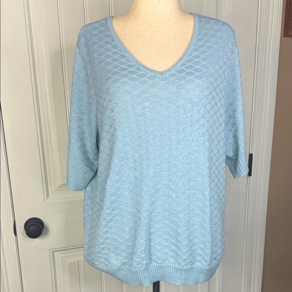 Ella Moss Light Blue V-Neck Textured Sweater Sz XXL - Picture 2 of 14